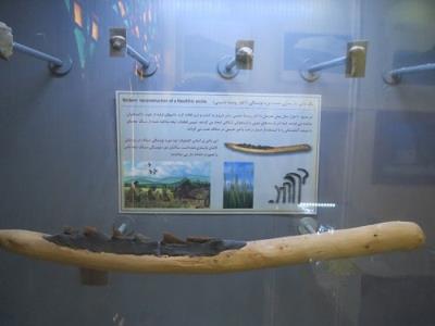 موزه پارینه سنگی