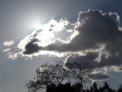 پارك شیرین ( تپه شاهد )