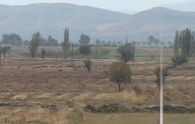 روستای حسین آباد شاملو