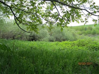 روستای وراینه