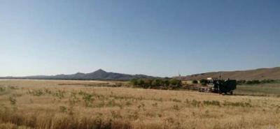 روستای سفته