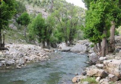 تنگ هونی