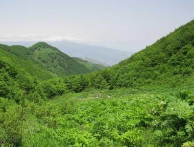 منطقه دیزمار