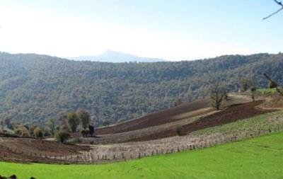 روستای چاچكام