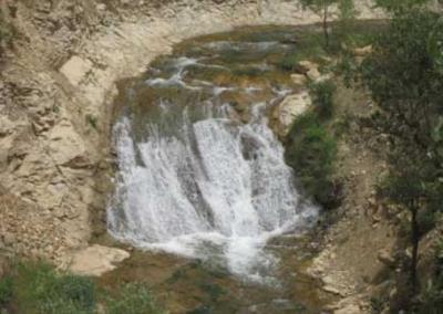 منطقه مشایخ