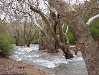 سراب نهاوند