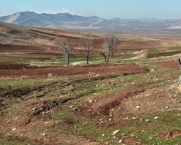 روستای توه سرخك