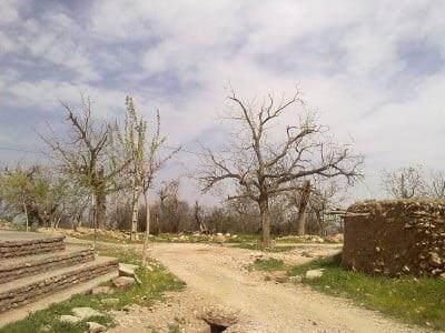 روستای اسفاد