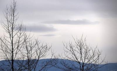 روستای بورخانی