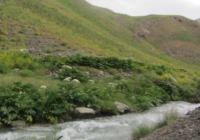 روستای حسنكدر