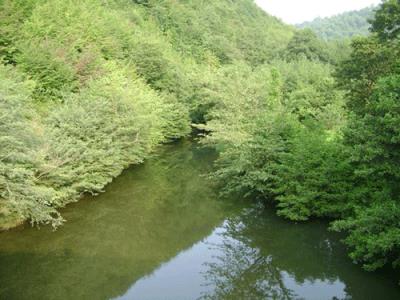 تالاب سیاه رود