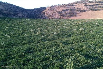 روستای ریخان