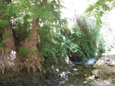 روستای كاوند درویشان