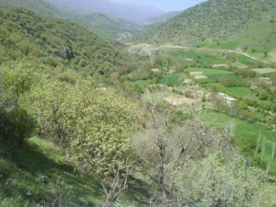 روستای تازه آباد