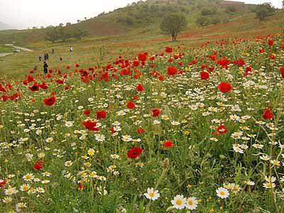 روستای كاكو زكریا