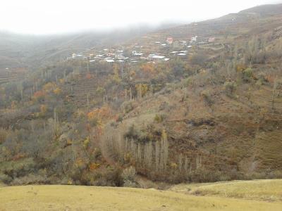 روستای كامان