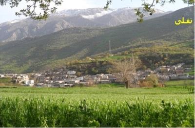 روستای تفلی