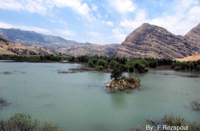دشت شیمبار