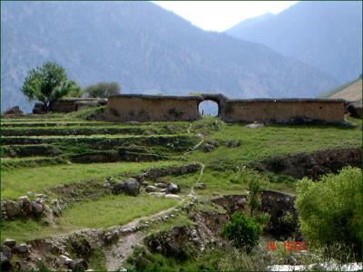 كاروانسرای شلیل