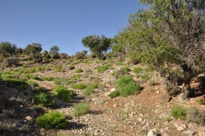 روستای چنار ناز خاتم
