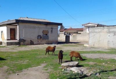 روستای بدراق ملا