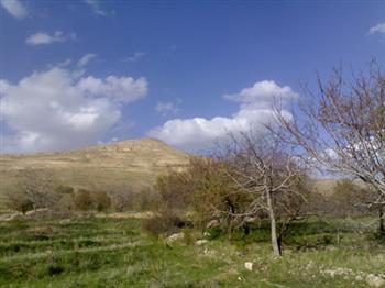 شهر كمیجان