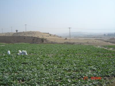 امیدیه