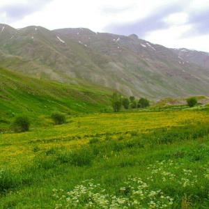 روستای هویر