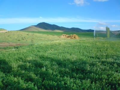 روستای شاه جوب