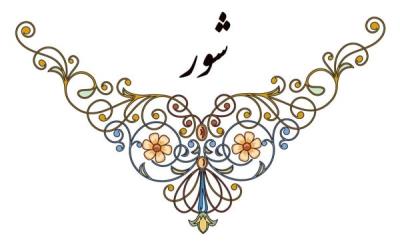 دستگاه شور