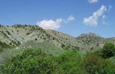 طبیعت باغ دره