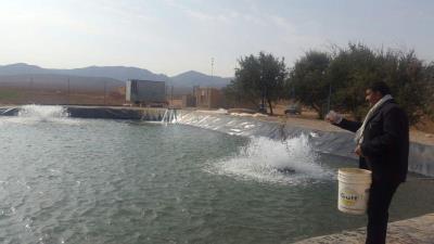 روستای شورك