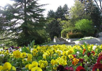 پارك نیاوران