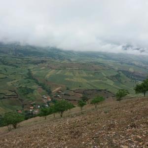 روستای چناربن