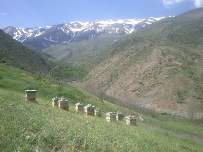 روستای لسبو