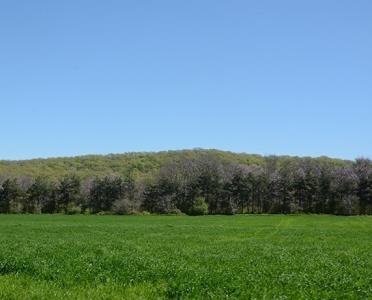 روستای یالو