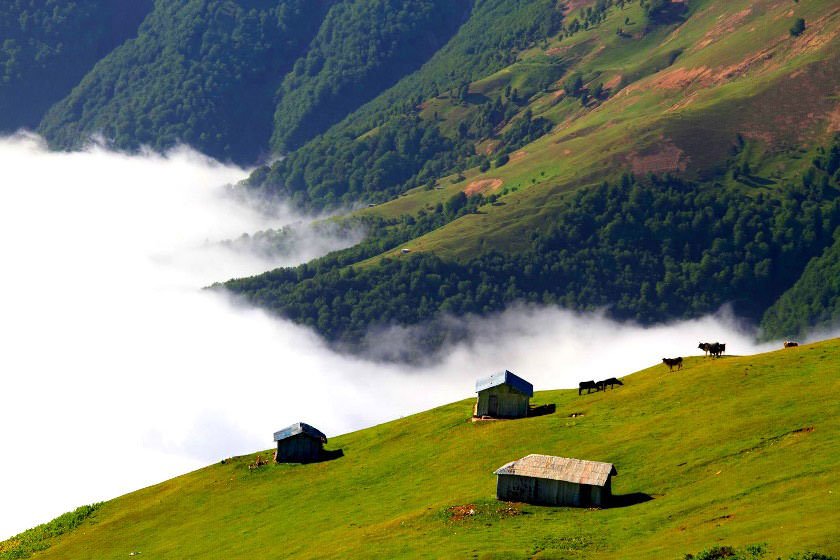 مناطق كوهستانی فومن