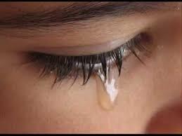 نواجش یا موری