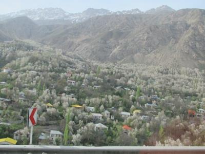 روستای وانا