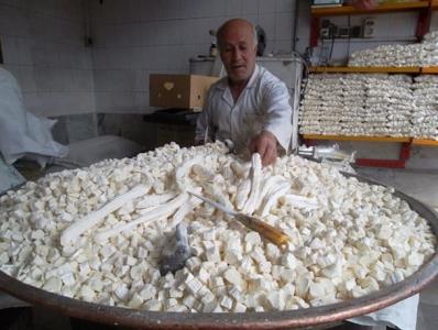 نقل تویسركان