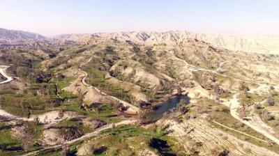 پارك جنگلی تمبی