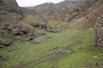 باغچه خلیل