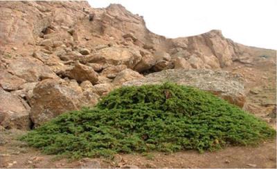 غار یخگان
