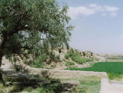 قلعه بختاك
