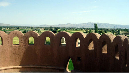 ارگ تاریخی گوگد