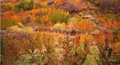 روستای آهار