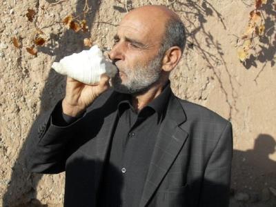 ساز سفید مهره