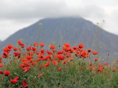 كوه گئچی قالاسی ( پیلو داغی )