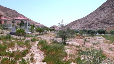 پارك جنگلی تنگه گزی