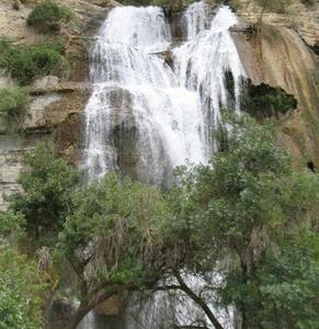 تنگ تامرادی